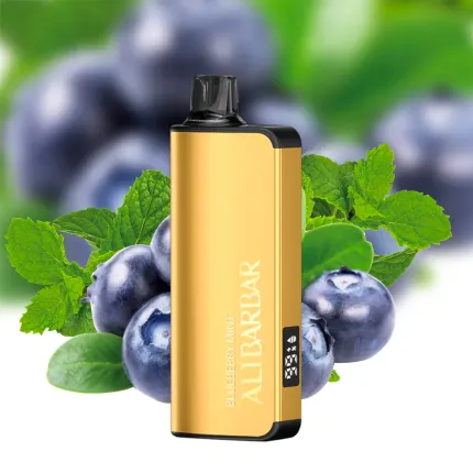 Alibarbar INGOT 9000 Blueberry Mint