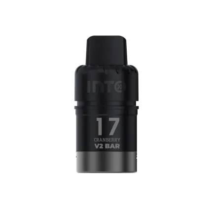 INTO V2 Blueberry Watermelon